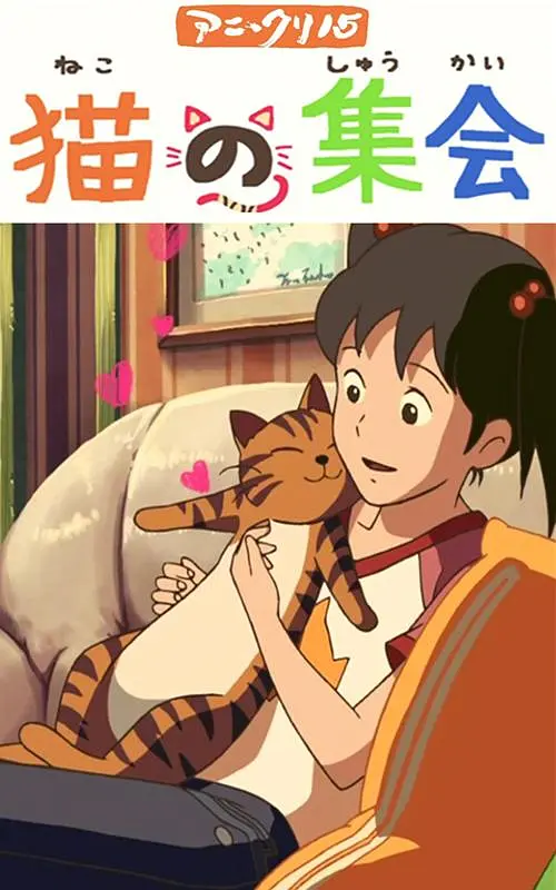 亚洲男同视频