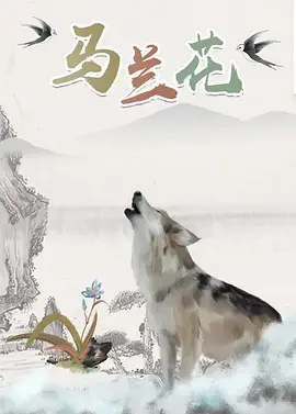日韩操操
