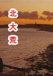 欧美一区二区三区在线可观看