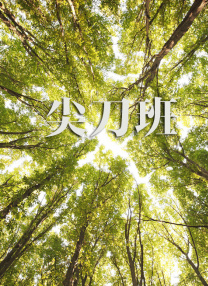 成人国产一区二区三区