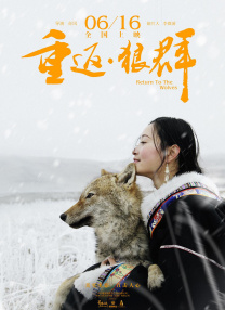 香蕉视频在线观看免费国产婷婷