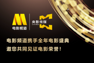 黄色三极片